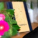 DSC 0120  web